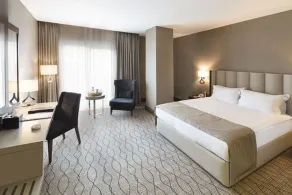 Ramada by Wyndham Sakarya - Habitación