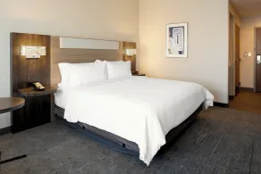 Holiday Inn Express & Suites Lathrop by IHG - Chambre
