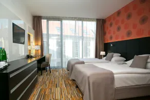 Art Hotel Szeged - Rom
