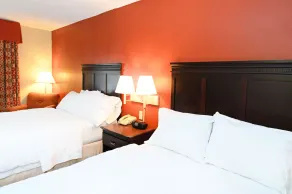 Hampton Inn Richmond-Southwest-Hull Street - Chambre