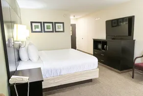 OYO Hotel Rome West GA - Chambre