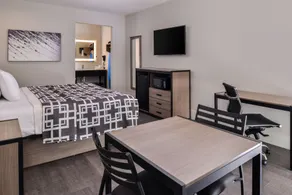 Palace Inn Blue Tomball Parkway - Room