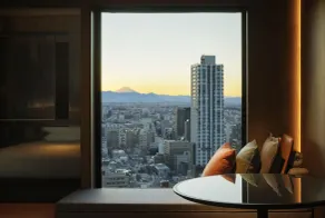 Hyatt Regency Tokyo - View from room