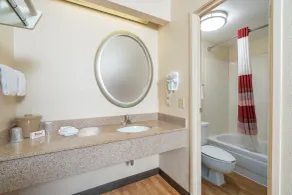 Red Roof Inn Cleveland Airport - Middleburg Heights - Bathroom