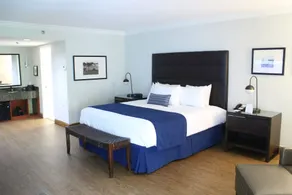Miami Lakes Hotel - Chambre
