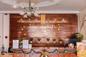 ANH ĐÀO HOTEL - Réception