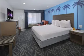 Tropicana Inn and Suites - Room