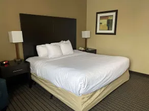 SureStay Plus by Best Western Jonestown Lebanon Valley - Habitación