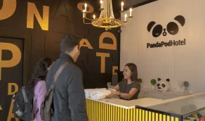 Panda Pod Hotel - Rezeption