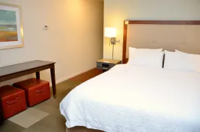 Hampton Inn & Suites Deland - Chambre