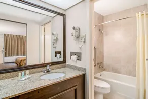 Quality Inn Suwanee I-85 - Bathroom