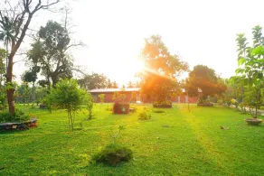 Alpha Wellness Resort Mysore - Property grounds