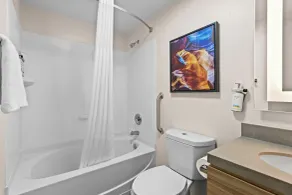 Candlewood Suites Flowood, MS by IHG - Salle de bain
