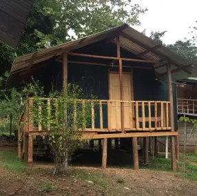 Jungle Cabin in Drake Bay - Façade de l’hébergement
