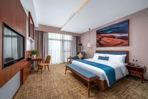 广州白云国际机场t2航站楼澳斯特精选酒店 - Room