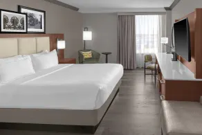 DoubleTree by Hilton New Orleans - Chambre