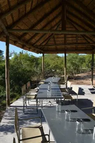 The Wild Olive Tree Camp - Restaurant