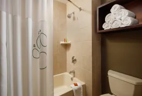 Great Wolf Lodge Pocono Mountains, PA - Salle de bain