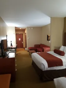 Best Western Plus Finger Lakes Inn & Suites - Chambre