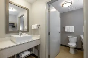 Red Roof Inn PLUS Boston - Mansfield - Foxboro - Salle de bain