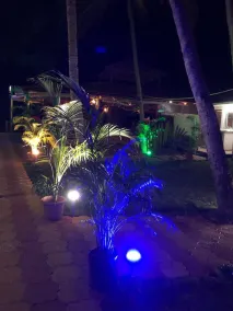 Madhu Beach Huts - Pool
