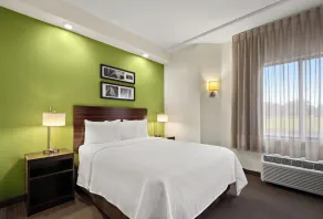 Spot X Hotel Wesley Chapel - Tampa Area - Rom