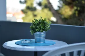 Neu Heidelberg - Guesthouse & Apartments - Udsigt fra værelset