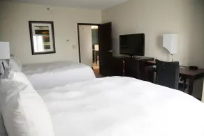 Hampton Inn & Suites Alpharetta - Chambre