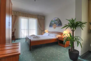 Hotel Rosina - Room