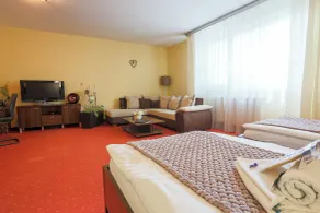 Grand Hotel Senica - Room