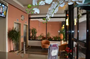 Nest 1 Hotel - Reception