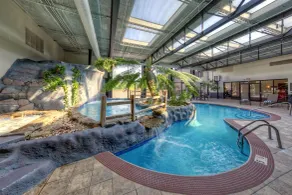 Hilton Knoxville Airport - Piscine