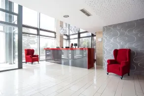 Rubin Wellness & Conference Hotel - Recepción
