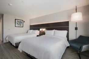 Holiday Inn Express & Suites Chicago - Hoffman Estates by IHG - Chambre