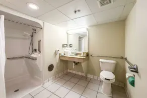Quality Inn Bradley- Bourbonnais - Salle de bain