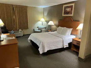 Americas Best Value Inn Pharr/McAllen - Chambre