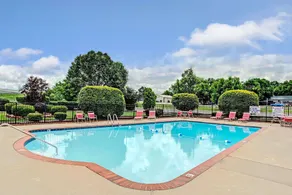 Ramada by Wyndham Murfreesboro - Piscine