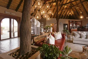 Thabamati Luxury Tented Camp - Rezeption