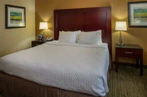 Crowne Plaza Hotel St. Louis Airport by IHG - Room
