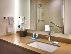 Hyatt House at Anaheim Resort/Convention Center - Bad