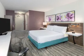 Hilton Garden Inn Lafayette/Cajundome - Chambre