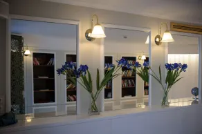 Irida Parga - Recepción