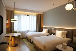 Holiday Inn Zhengzhou High-Tech Zone by IHG - Chambre