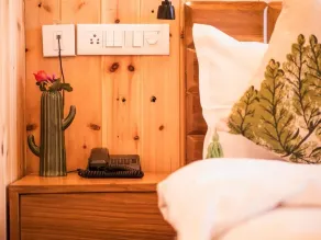 Aaryam Resort, Auli - Rum