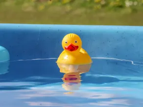 Mischief - Pool