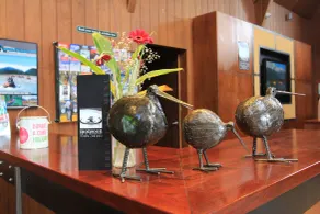 Rainforest Retreat - Recepción