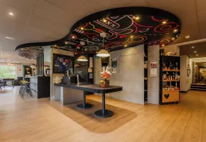 ibis Lille Villeneuve d'Ascq Grand Stade - Réception