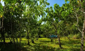 Kirpal Meditation and Ecological Center - Vue de la chambre