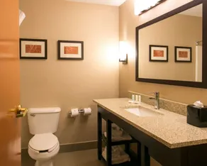 Comfort Suites Benton Harbor - St Joseph - Salle de bain