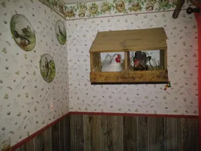 Anchorage Farm B&B - Bad